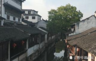 拯救可爱小公主